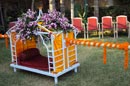 Theme Wedding Party Plots In Ahmedabad - Palkhi